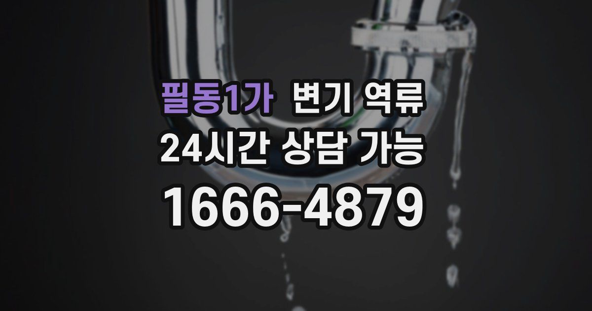필동1가 변기 역류
