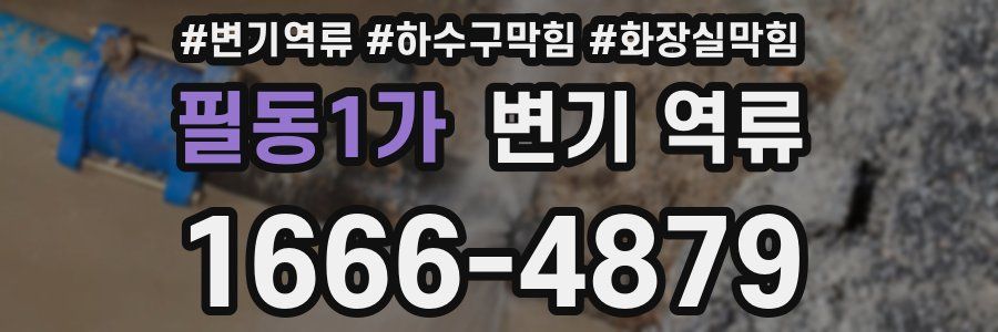 필동1가 변기 역류