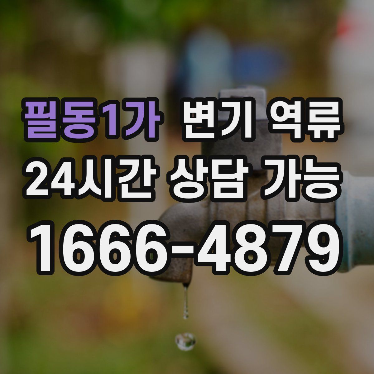 필동1가 변기 역류