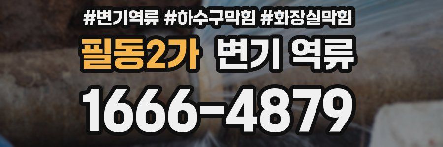 필동2가 변기 역류