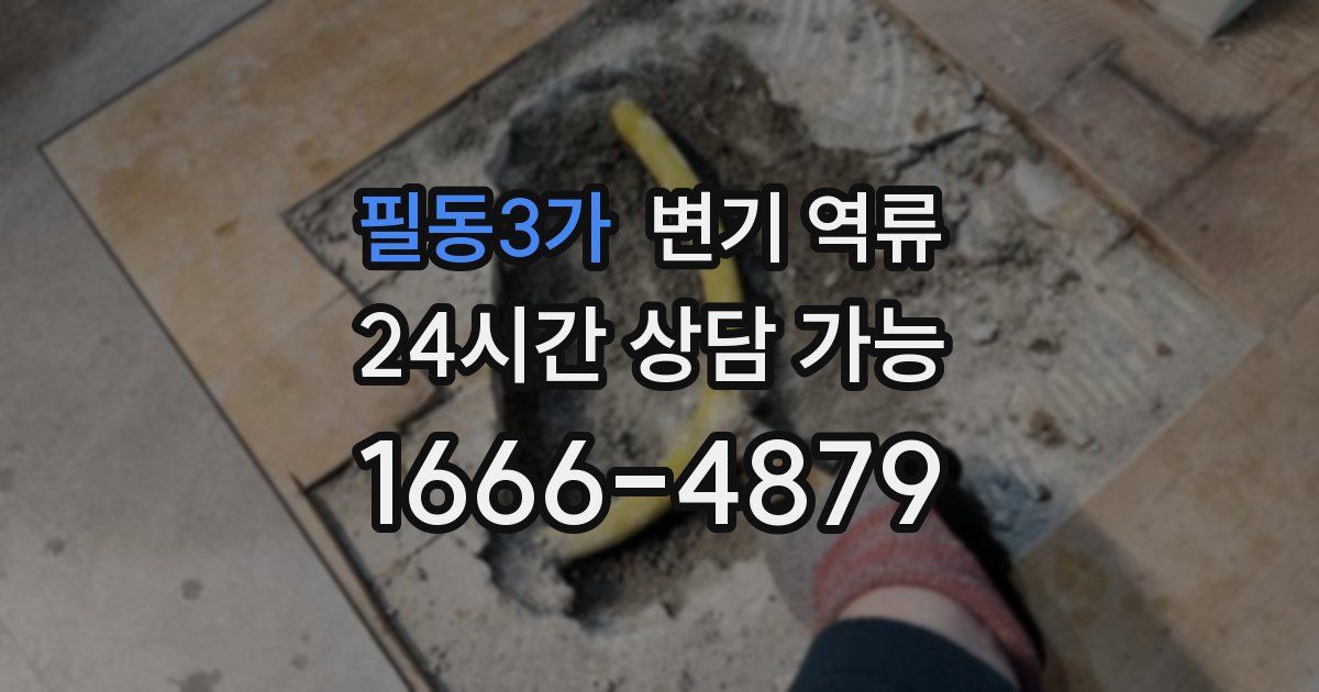 필동3가 변기 역류