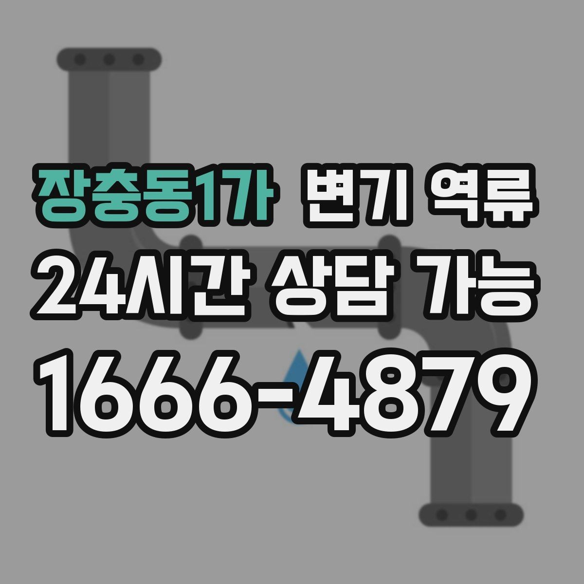 장충동1가 변기 역류 변기물이 넘치기 전 막을 수 있는 방법