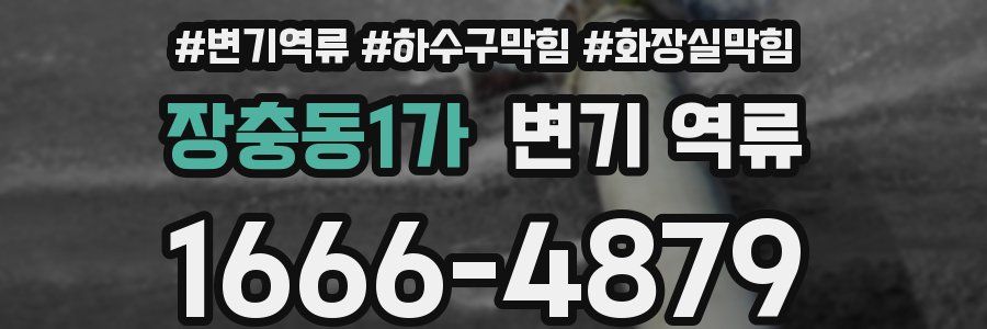 장충동1가 변기 역류
