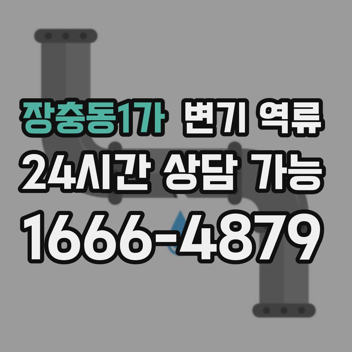 장충동1가 변기 역류