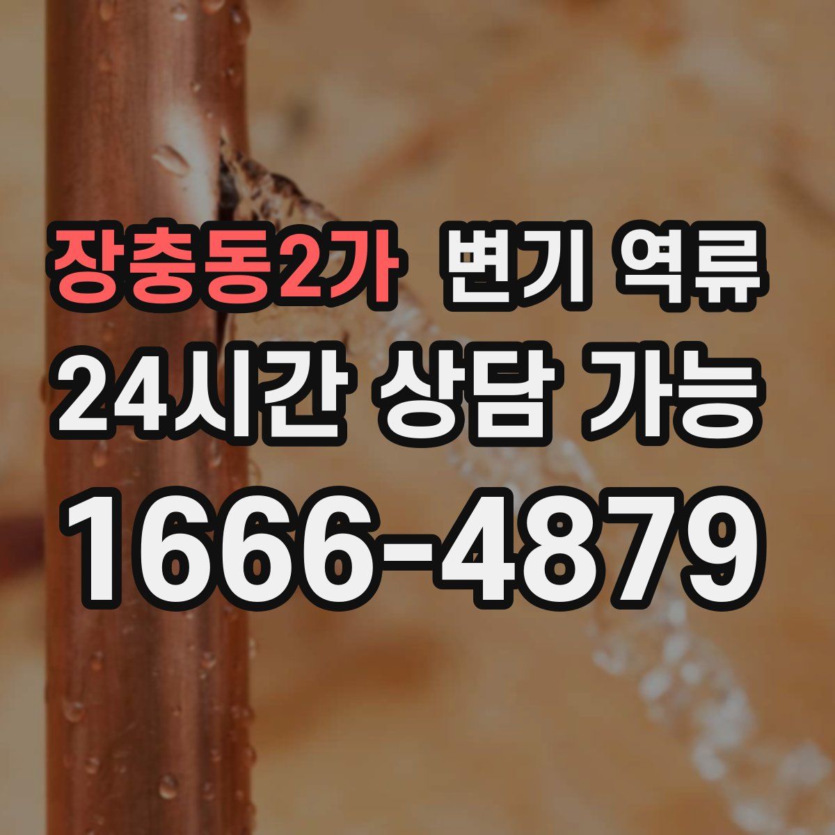 장충동2가 변기 역류