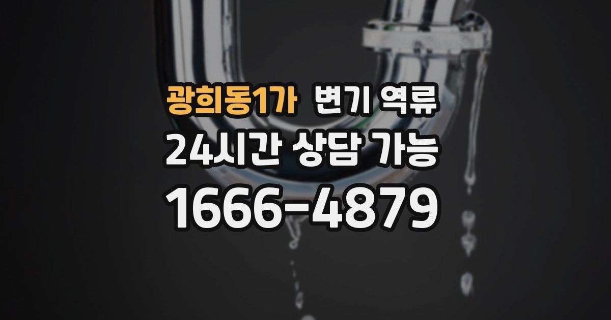 광희동1가 변기 역류