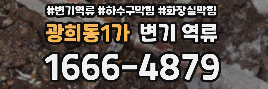 광희동1가 변기 역류
