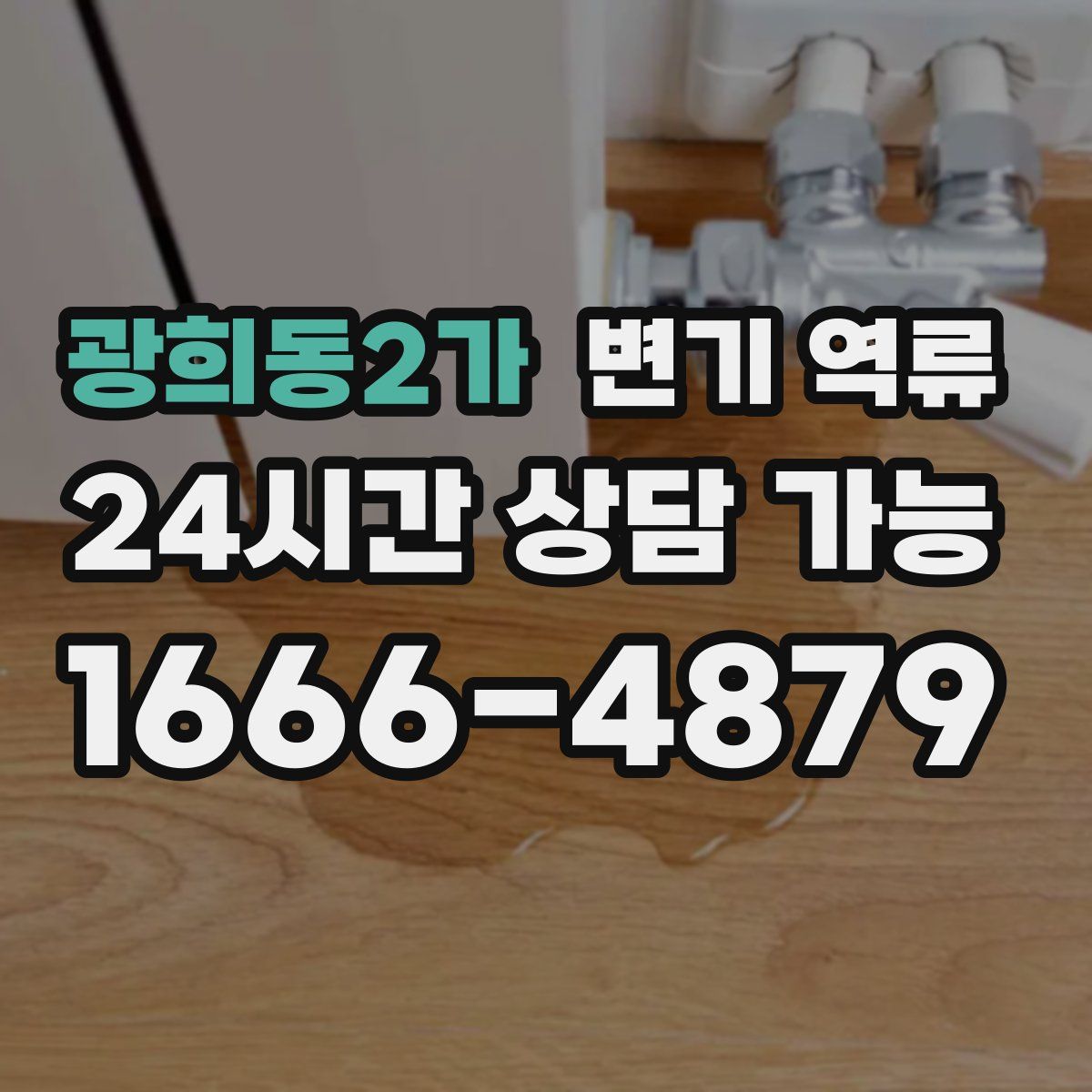 광희동2가 변기 역류
