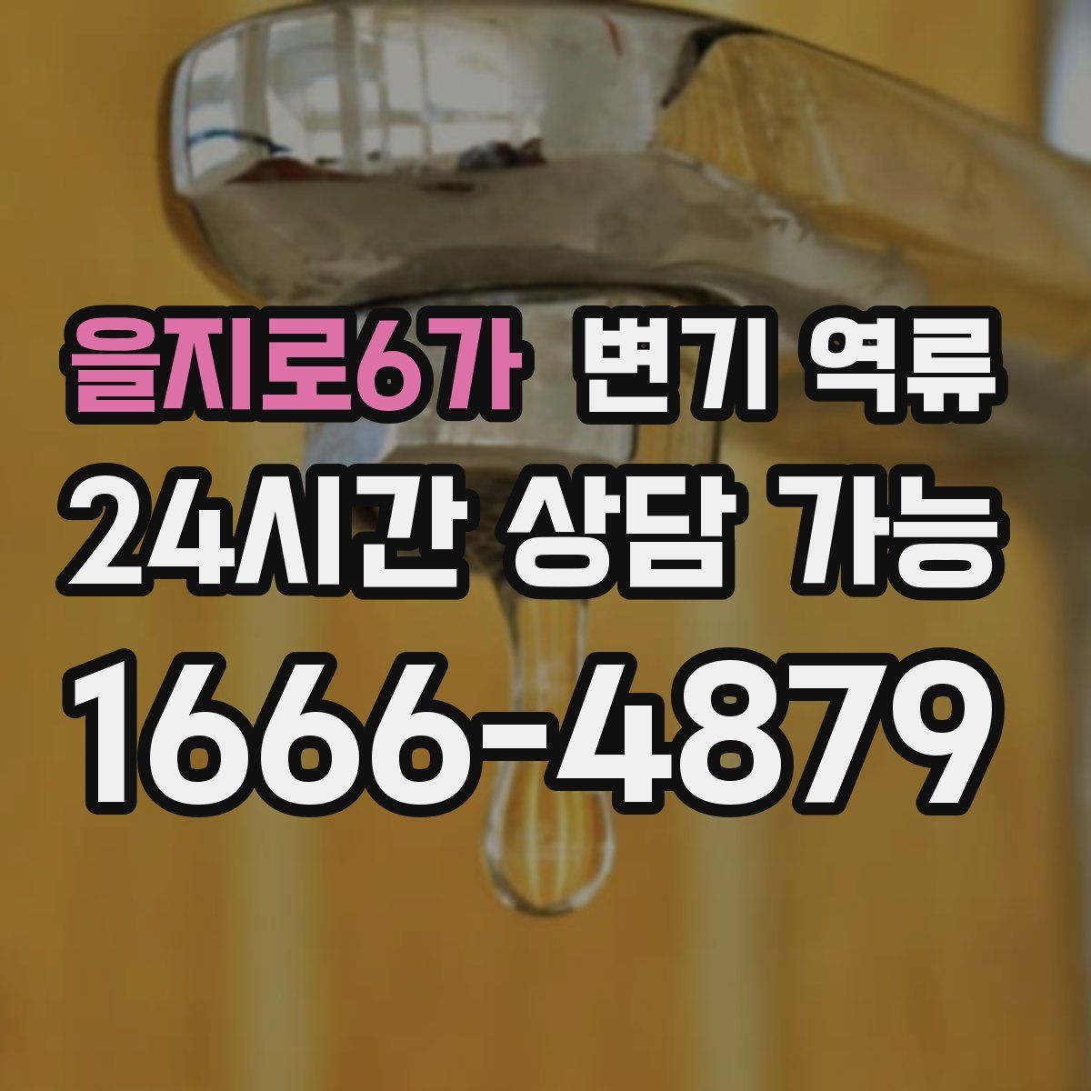 을지로6가 변기 역류