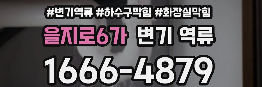 을지로6가 변기 역류