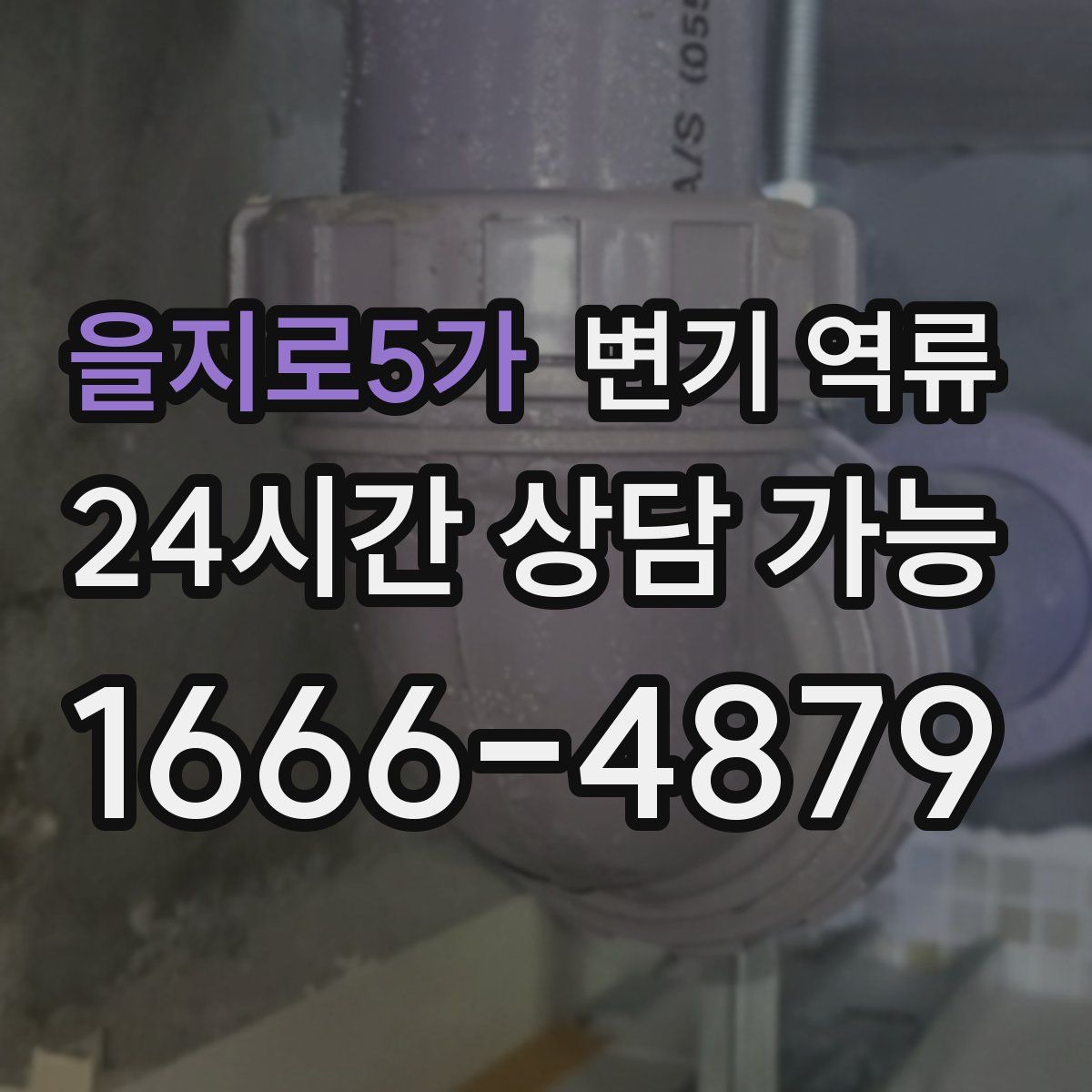을지로5가 변기 역류