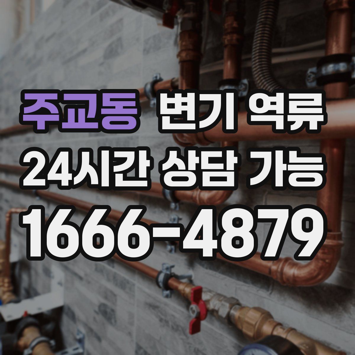 주교동 변기 역류