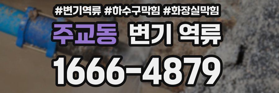 주교동 변기 역류