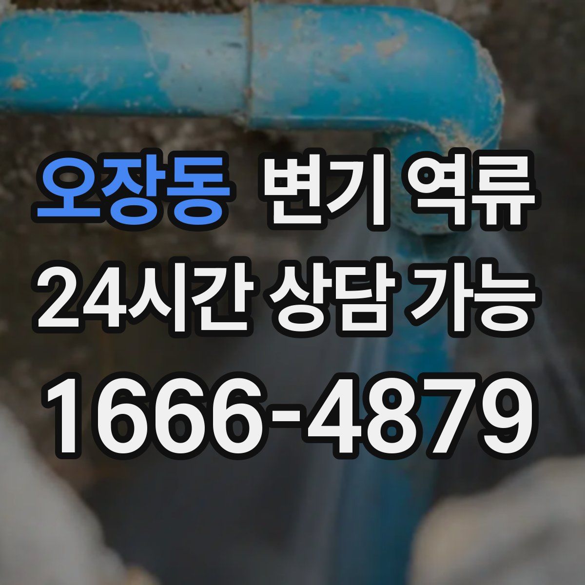 오장동 변기 역류