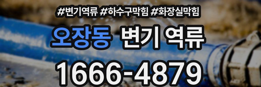 오장동 변기 역류