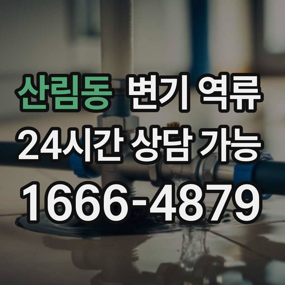 산림동 변기 역류