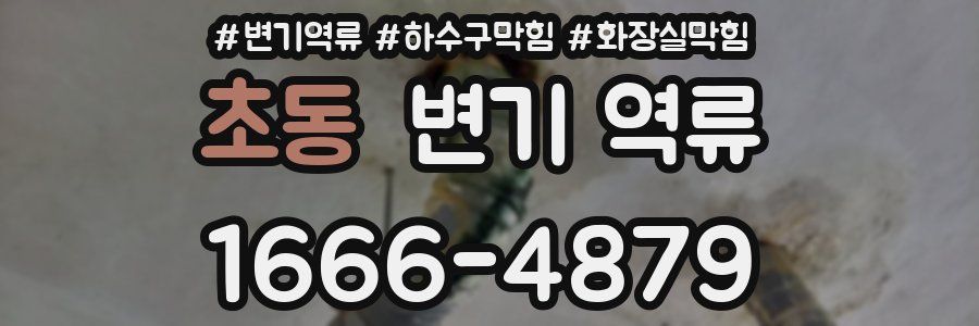 초동 변기 역류