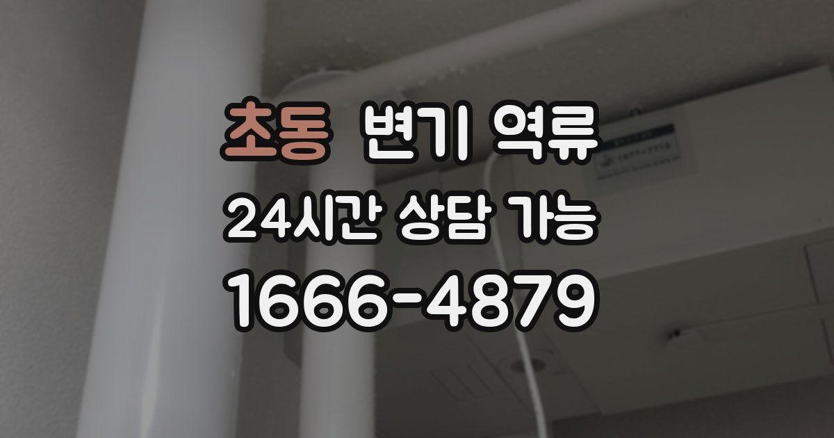 초동 변기 역류