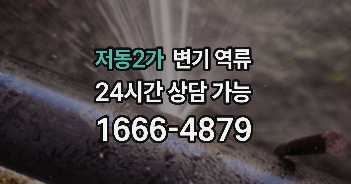 저동2가 변기 역류