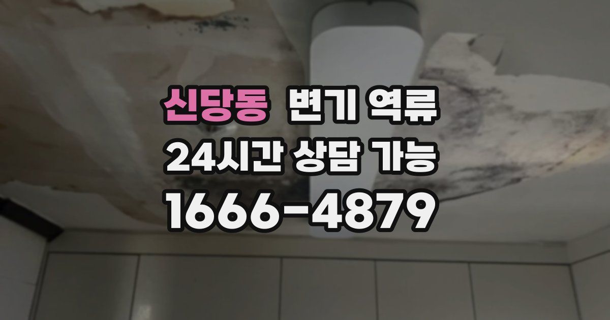 신당동 변기 역류