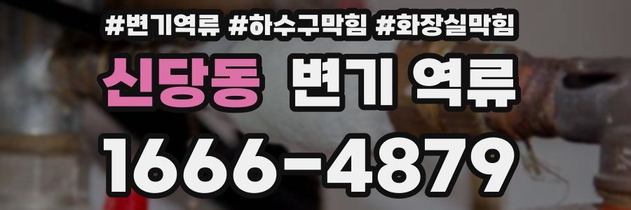 신당동 변기 역류