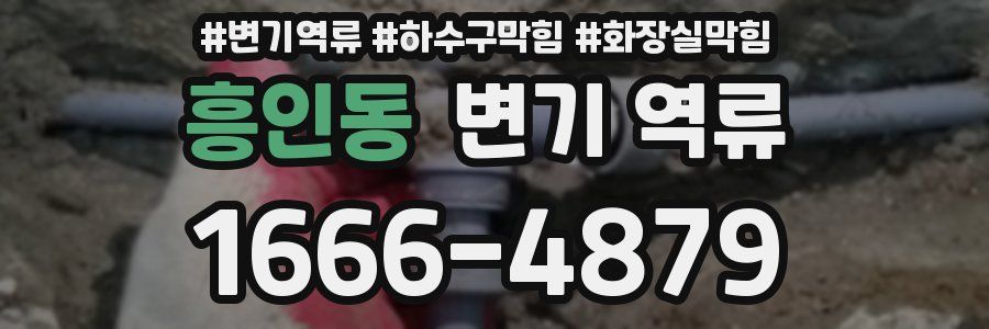 흥인동 변기 역류