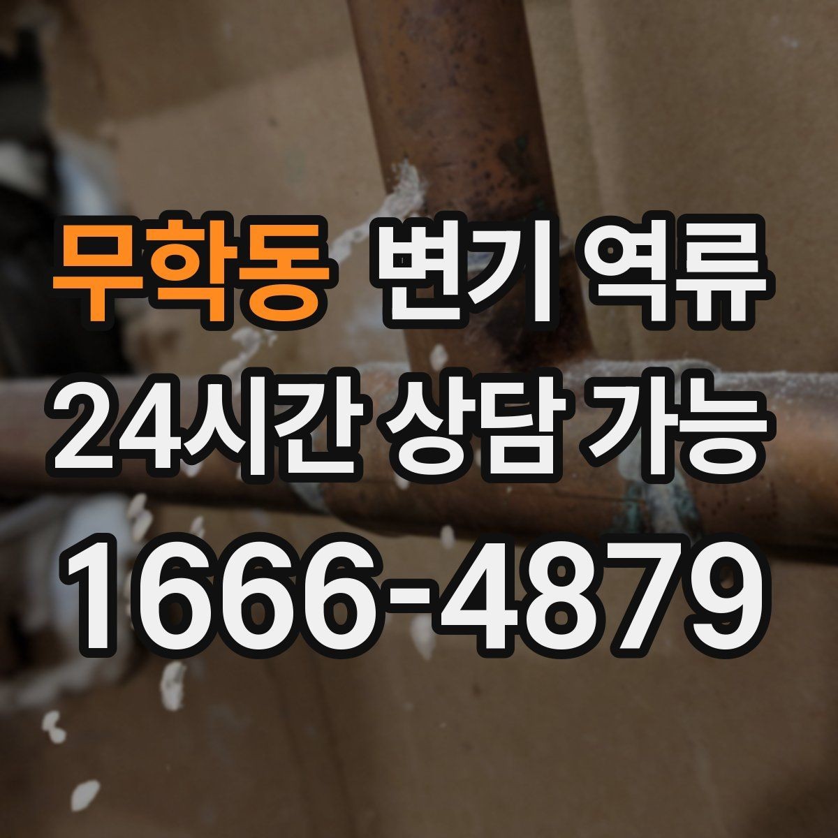무학동 변기 역류 우리 집만 역류하면 먼저 확인할 포인트