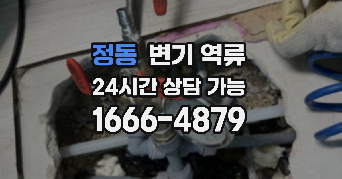 정동 변기 역류