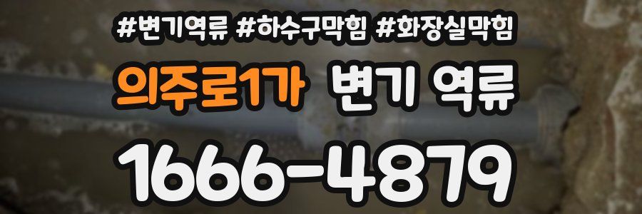 의주로1가 변기 역류