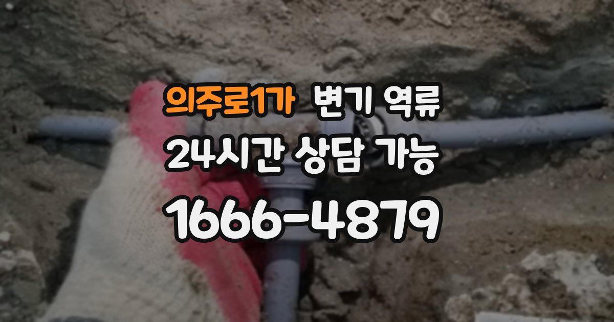 의주로1가 변기 역류