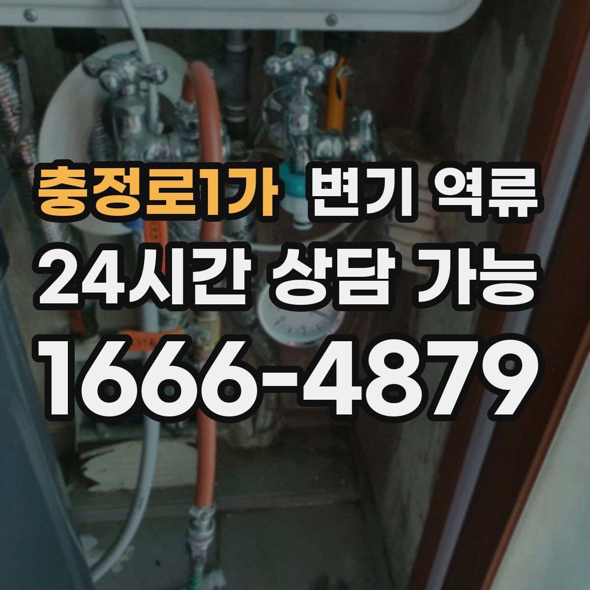 충정로1가 변기 역류 어린이·반려동물 접근을 막아야 하는 이유