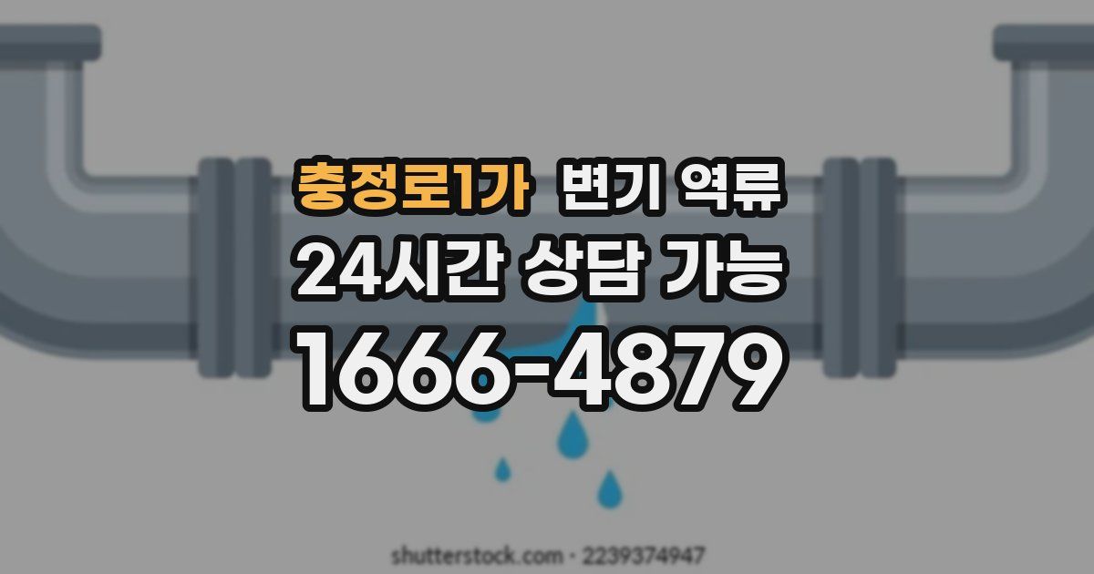 충정로1가 변기 역류