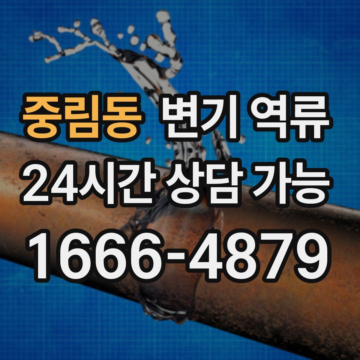 중림동 변기 역류