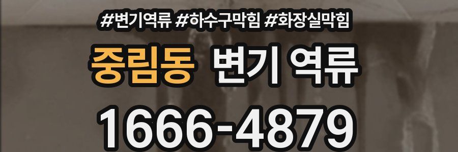 중림동 변기 역류