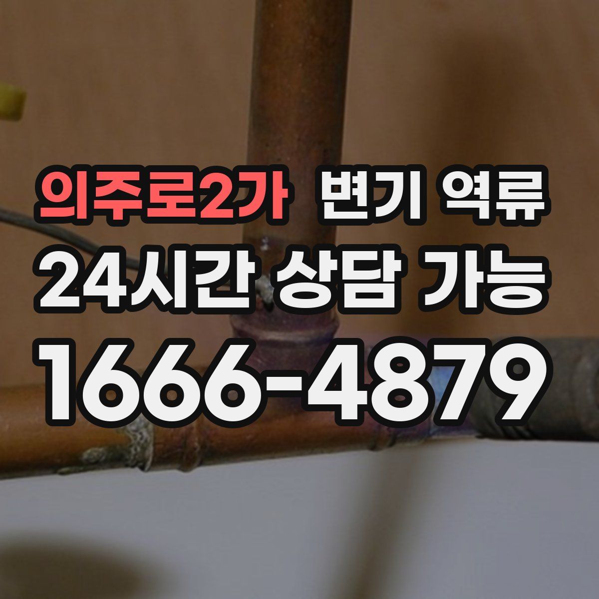 의주로2가 변기 역류