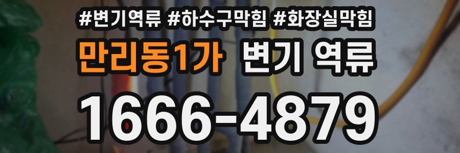 만리동1가 변기 역류