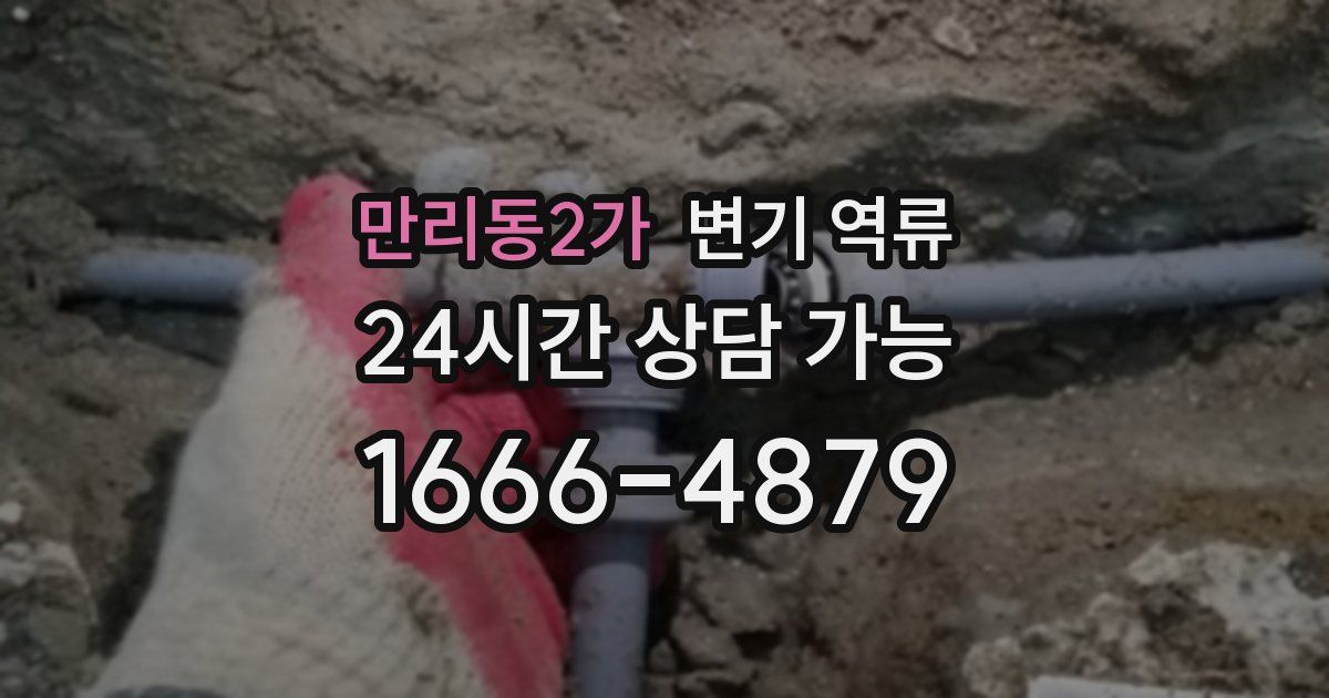 만리동2가 변기 역류