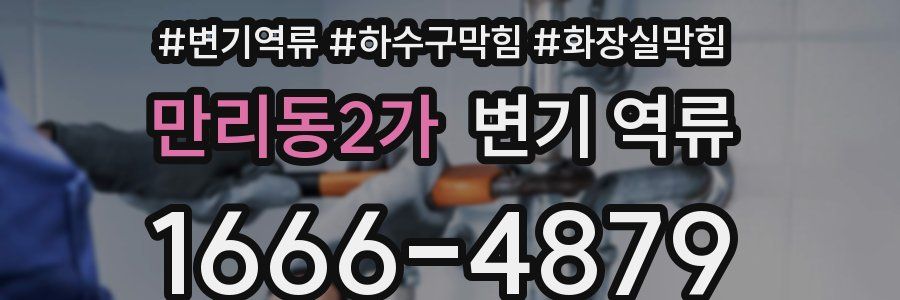 만리동2가 변기 역류