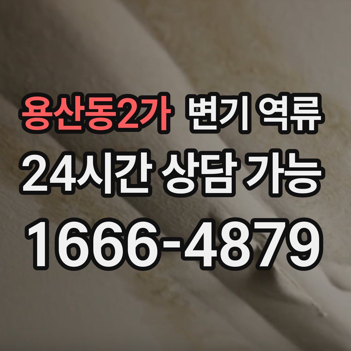 용산동2가 변기 역류