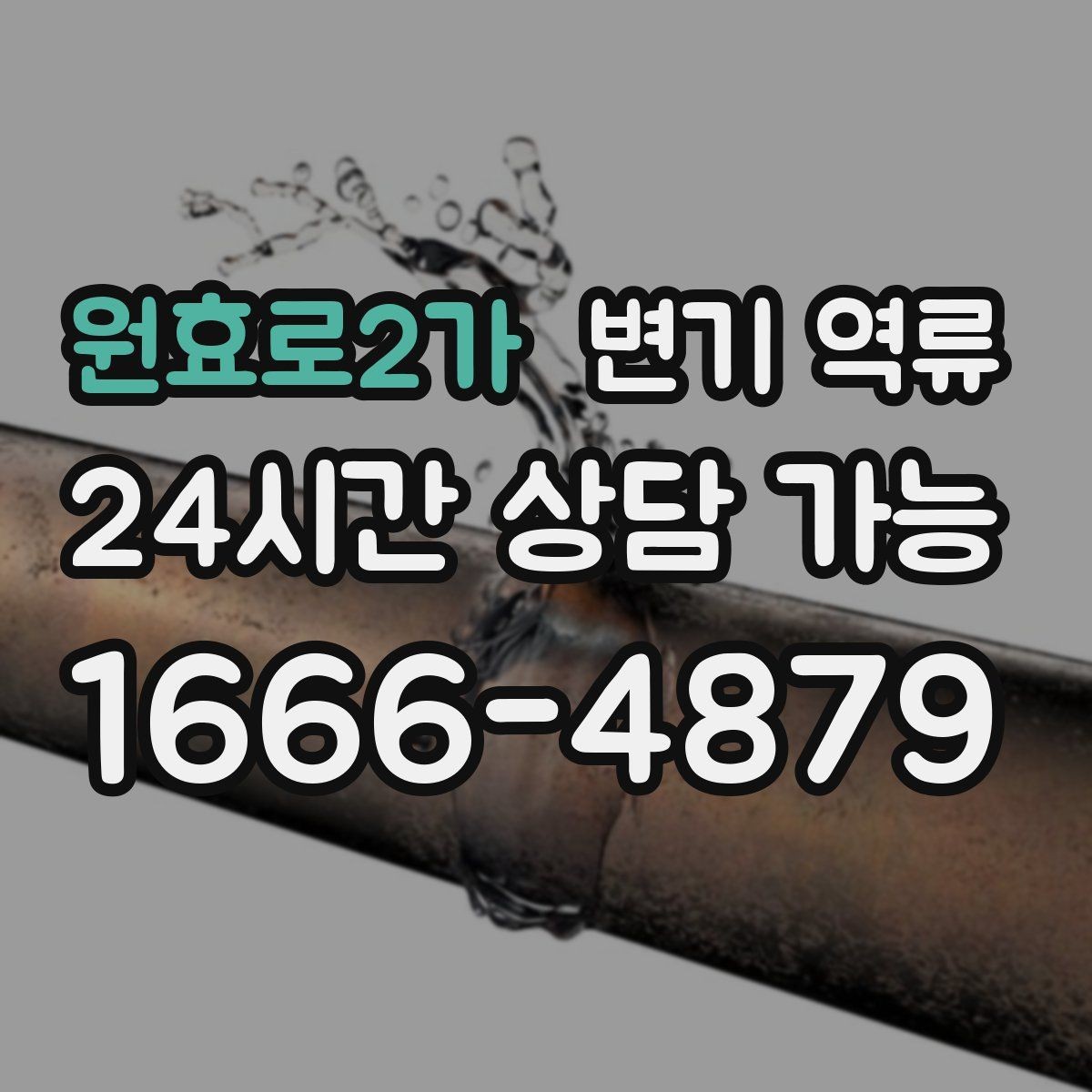 원효로2가 변기 역류 물이 맑은지 탁한지로 구분하는 힌트