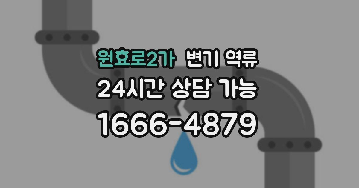 원효로2가 변기 역류