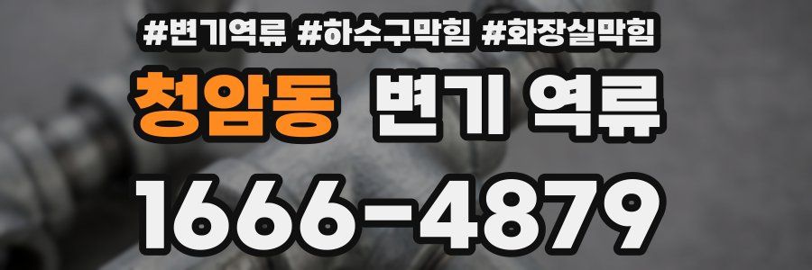 청암동 변기 역류