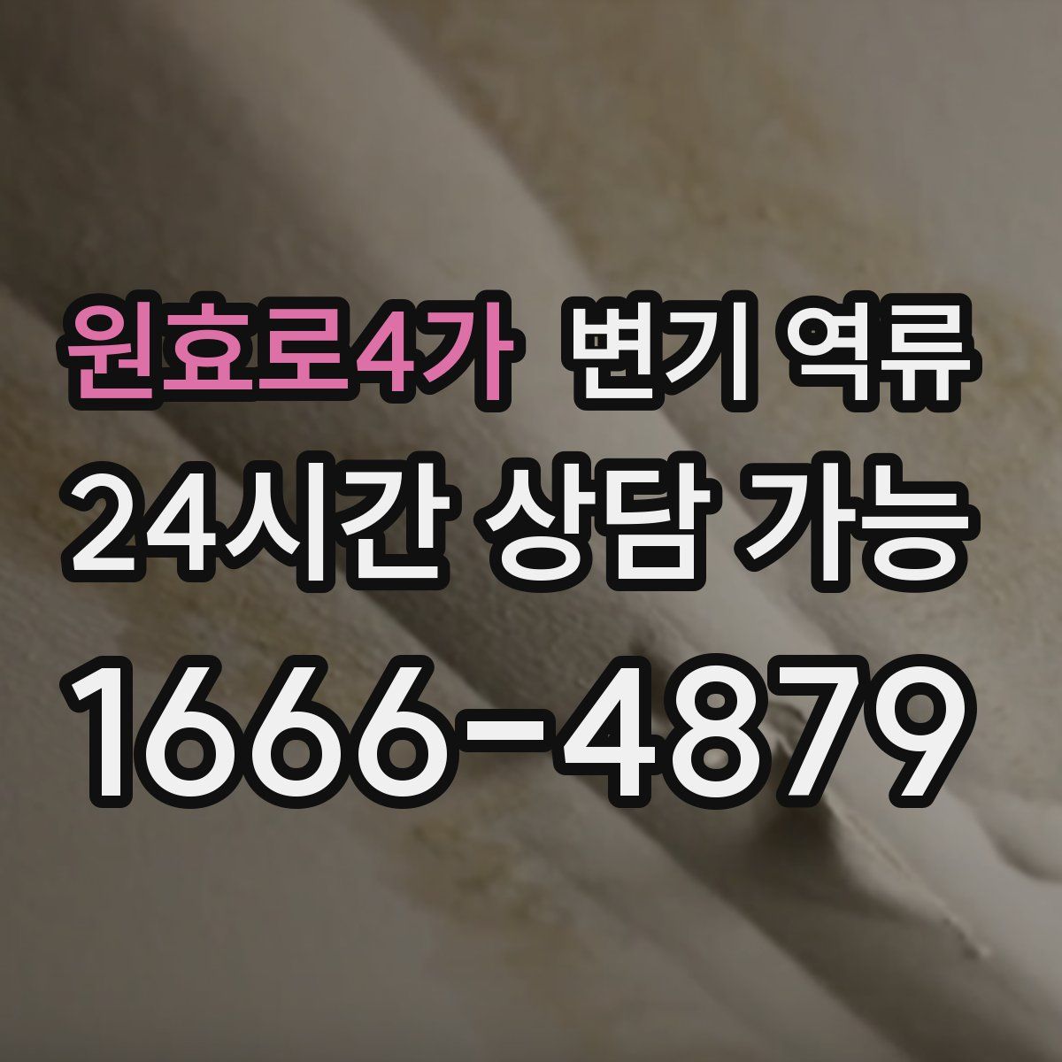 원효로4가 변기 역류