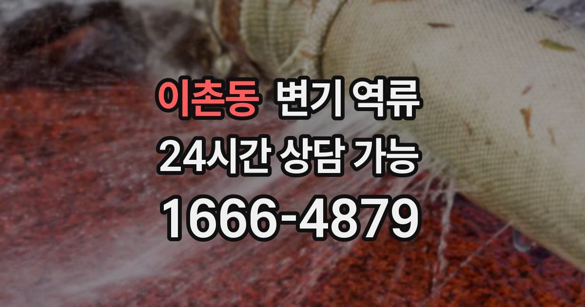 이촌동 변기 역류