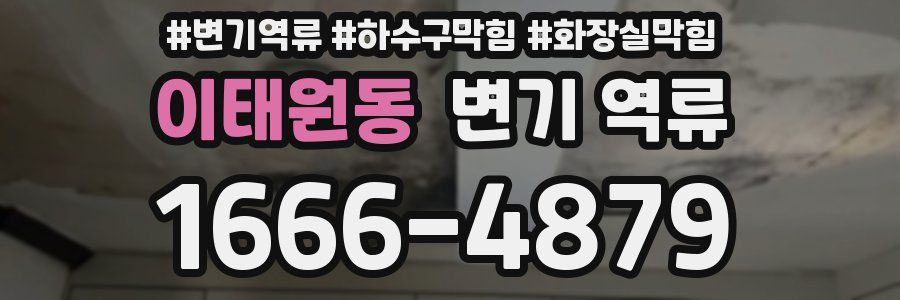 이태원동 변기 역류