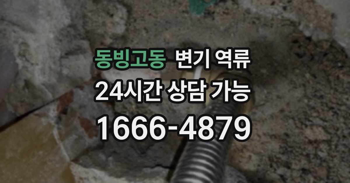 동빙고동 변기 역류