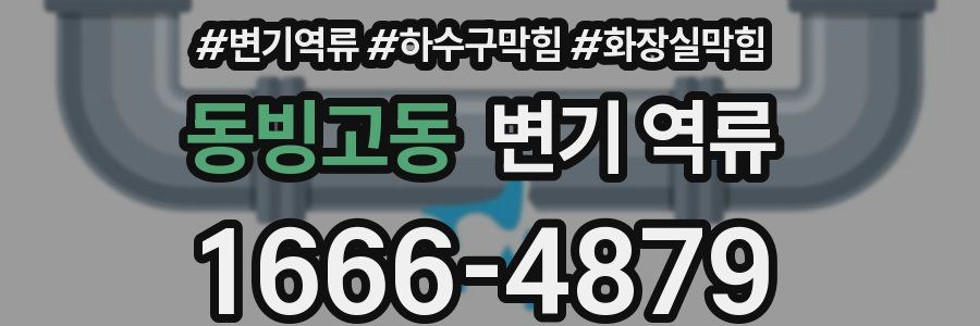 동빙고동 변기 역류