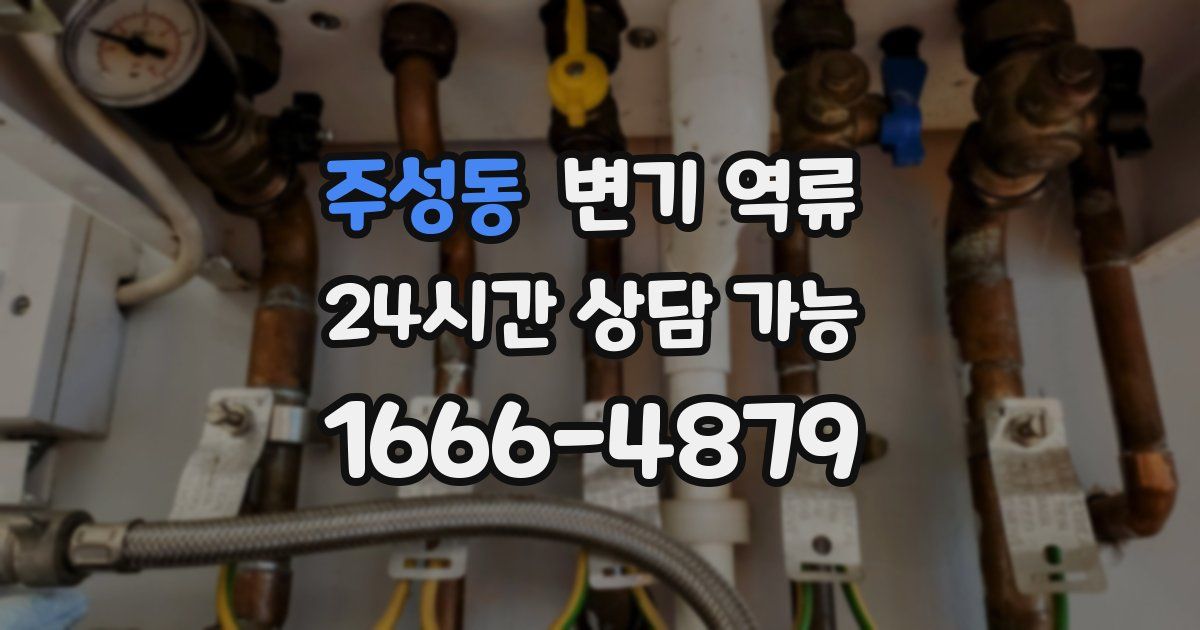 주성동 변기 역류