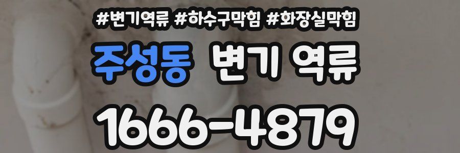 주성동 변기 역류