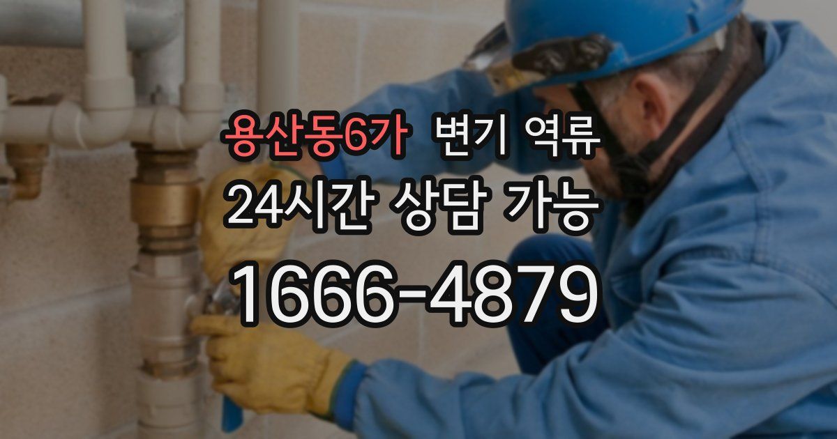 용산동6가 변기 역류